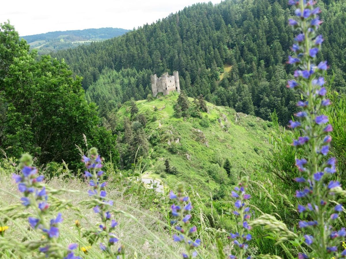 Hotel Des Rochers Марвежол Екстериор снимка